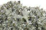 Chalcopyrite and Pyrite Crystals on Quartz - Peru #257294-1